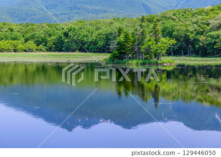 A stroll around the Shiretoko Five Lakes on Hokkaido's Shiretoko Peninsula under a clear blue June sky. The mountains and virgin forests reflected on the lake's surface are beautiful. 129446050