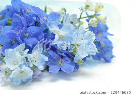 Delphinium Bouquet Delphinium Bouquet 129446680