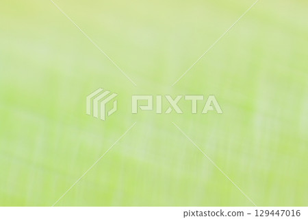 柔和的綠色，流暢的線條的抽象的背景 129447016