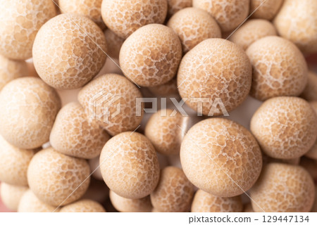 Fresh brown Shimeji mushroom texture background, Asian edible mushroom, Food ingredients 129447134