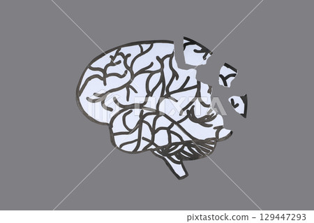 A detailed brain illustration on a gray background A detailed brain illustration on a gray background 129447293