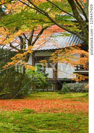 大原三千院遊星庭園：美麗的秋葉與落楓（京都府京都市左京區） 129447409