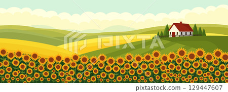 Sunflower field landscape with house flat vector illustration. Sunflower field landscape with house flat vector illustration. 129447607