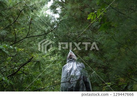 Woman in rain poncho practicing forest bathing in deep cedar forest. 129447666