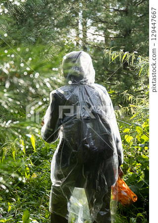 Woman in transparent raincoat walking in green cedar forest with wet pine branches 129447667