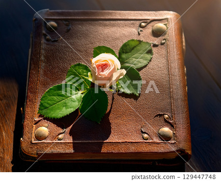 A rose on top of an old book 129447748