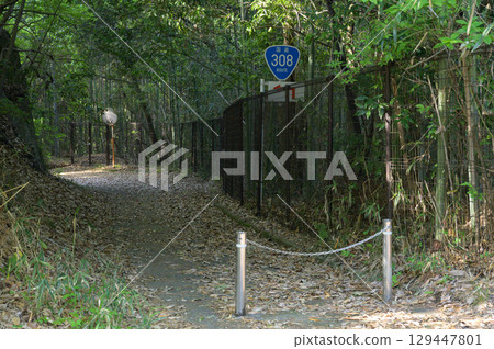 國道308號線，現為散步道 129447801