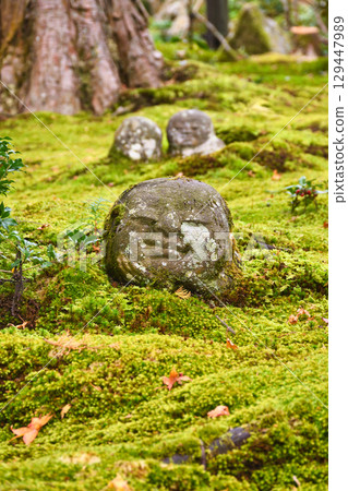 大原三千院：兒童地藏菩薩與飄落的楓葉（京都府京都市左京區） 129447989