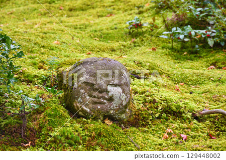 Ohara Sanzenin Temple: Children's Jizo and Falling Maple Leaves (Sakyo Ward, Kyoto City, Kyoto Prefecture) 129448002
