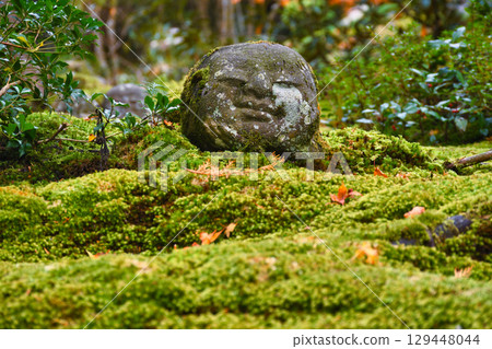 大原三千院：兒童地藏菩薩與飄落的楓葉（京都府京都市左京區） 129448044