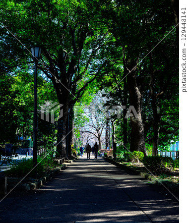 Travelers strolling along a tree-lined street in the sunlight filtering through the trees Travelers strolling along a tree-lined street in the sunlight filtering through the trees 129448141