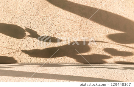 Orange Beige Background Wall Podium Product 3d Summer Backdrop Light Shadow Texture Abstract Floor Modern Minimal Cosmetic Presentation Overaly Nature Branch Elegant Interior Template Yellow Studio. 129448367