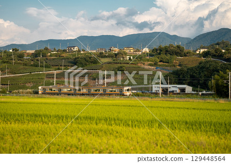 Minobu Line running through the autumn countryside 129448564