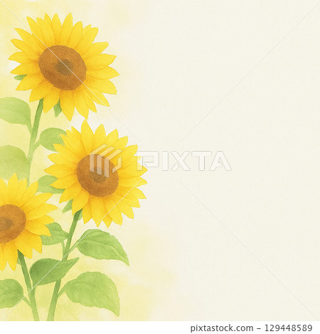 夏日背景，向日葵盛開。明亮的水彩畫設計。 129448589
