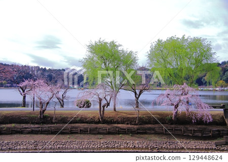 Spring noodles 129448624