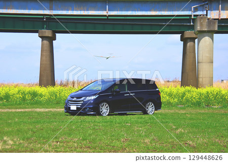 Rape flower field, minivan vehicle and airplane Rape flower field, minivan vehicle and airplane 129448626