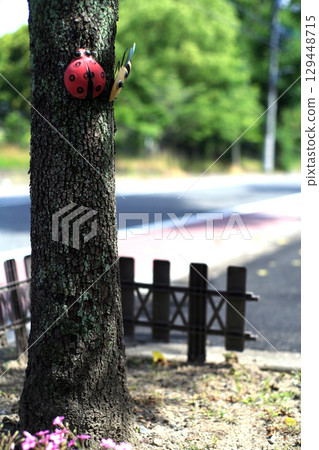 Roadside trees and garden charm Roadside trees and garden charm 129448715
