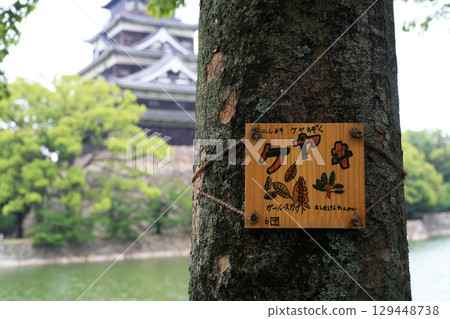 公園裡的樹木銘牌 公園裡的樹木銘牌 129448738
