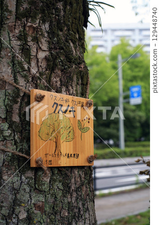公園裡的樹木銘牌 129448740