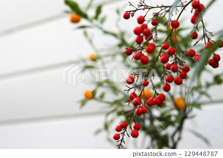 紅色南瓜水果 紅色南瓜水果 129448787