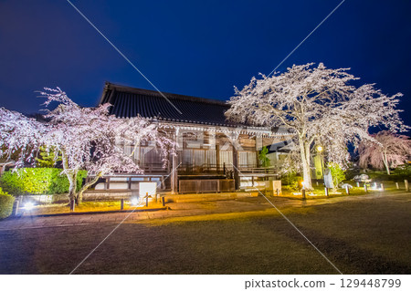 Myomanji Sakura Myomanji Sakura 129448799