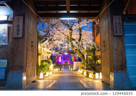 墨染寺櫻花 129448835