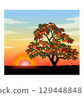 秋天的夕陽景色，紅柿子樹 129448848