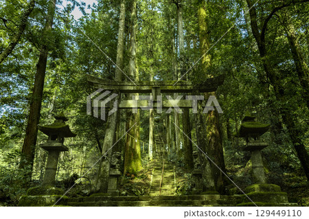 Moss-covered shrine gate Moss-covered shrine gate 129449110