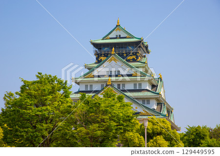 Osaka Castle Fresh Green 2 129449595