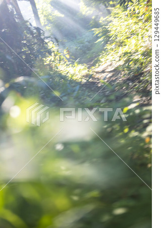 穿過新綠森林的小路，燈光閃耀的景色－大山京成 129449685