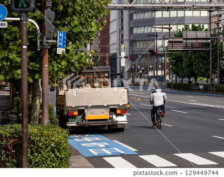 停放在普通自行車道上的汽車和移到道路上的自行車 停放在普通自行車道上的汽車和移到道路上的自行車 129449744