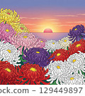 日出時分的日本菊花與大海景觀 129449897