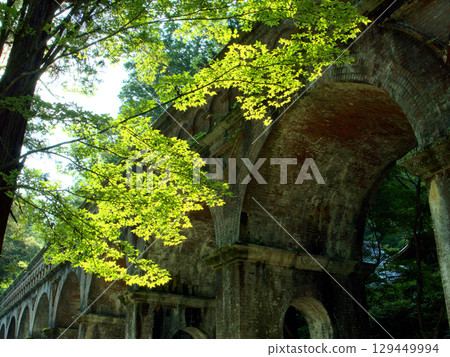 Suirokaku, a brick arched aqueduct built to transport water from Lake Biwa to Kyoto city, and fresh green maple trees 129449994
