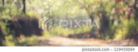 Banner Blur background green park garden nature bright sunny forest. Blurry outdoor park in spring time glowing shinny day template sunlight bokeh. Abstract blurred background banner with copy space 129450094