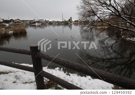 冬天河面上漂浮的水鳥 129450392