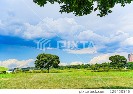 Scenery of the Edogawa riverine Scenery of the Edogawa riverine 129450546