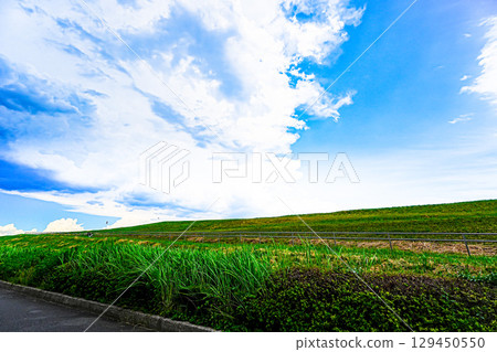 盛夏的江戶川河岸 盛夏的江戶川河岸 129450550