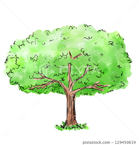 一棵大樹的手繪插圖 129450619