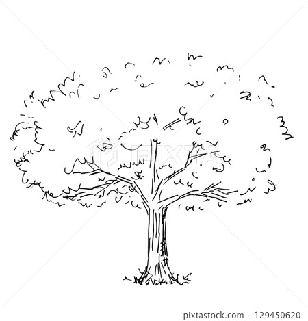 一棵大樹的手繪插圖 一棵大樹的手繪插圖 129450620