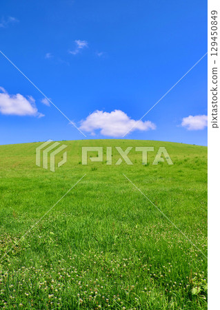 Grassland and the open sky (Biei, Hokkaido) Grassland and the open sky (Biei, Hokkaido) 129450849