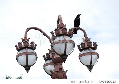 A crow perched on a street lamp A crow perched on a street lamp 129450938