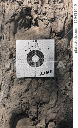 Shooting target on tree trunk with bullet holes. Outdoor shooting range with paper target for airgun practice. Rustic texture background. Close-up view for sport and accuracy themes. Shooting target on tree trunk with bullet holes. Outdoor shooting range with paper target for airgun practice. Rustic texture background. Close-up view for sport and accuracy themes. 129451049