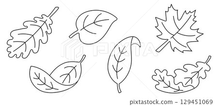 Set of six black curved outline leaves isolated. Autumn foliage collection. Simple contour leaf shapes for coloring book, education, kids activity, botanical design, eco decoration. 129451069