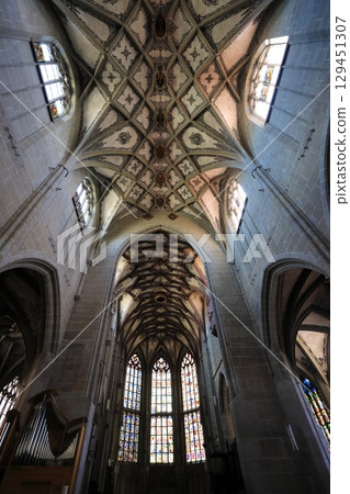 伯恩大教堂的天花板 129451307