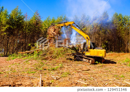 Heavy machinery works to remove trees, clear land under works deforester day in forested area. 129451346