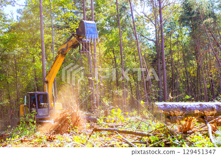 Large excavator works to clear trees in forest during works day, creating space for future projects. Large excavator works to clear trees in forest during works day, creating space for future projects. 129451347