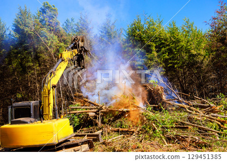 An excavator works to clear fallen trees brush as smoke billows from debris on deforester day in forest. 129451385