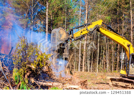 Excavator removes fallen trees, brush in forest as smoke billows from nearby fire during deforester day. Excavator removes fallen trees, brush in forest as smoke billows from nearby fire during deforester day. 129451388