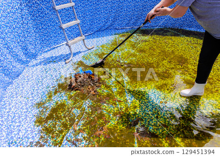 Worker removes debris from green, algae filled swimming pool on sunny day to prepare for summer activities. Worker removes debris from green, algae filled swimming pool on sunny day to prepare for summer activities. 129451394