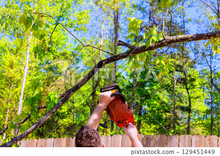 Individual operates chainsaw to cut overhanging branches in residential yard Individual operates chainsaw to cut overhanging branches in residential yard 129451449